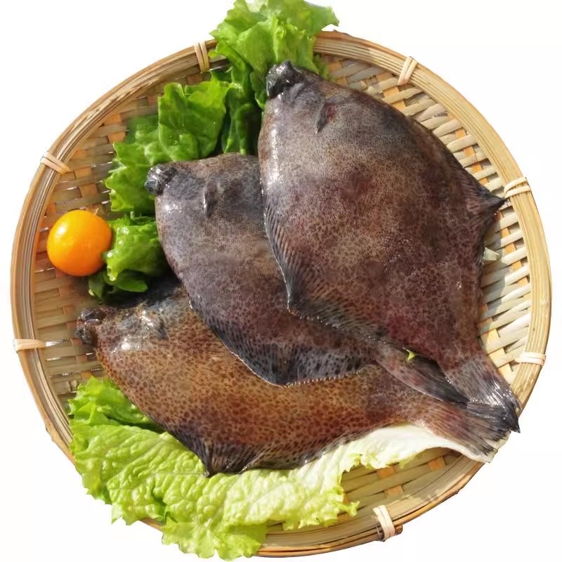 新鲜 小鼓眼鱼 约2斤左右/份