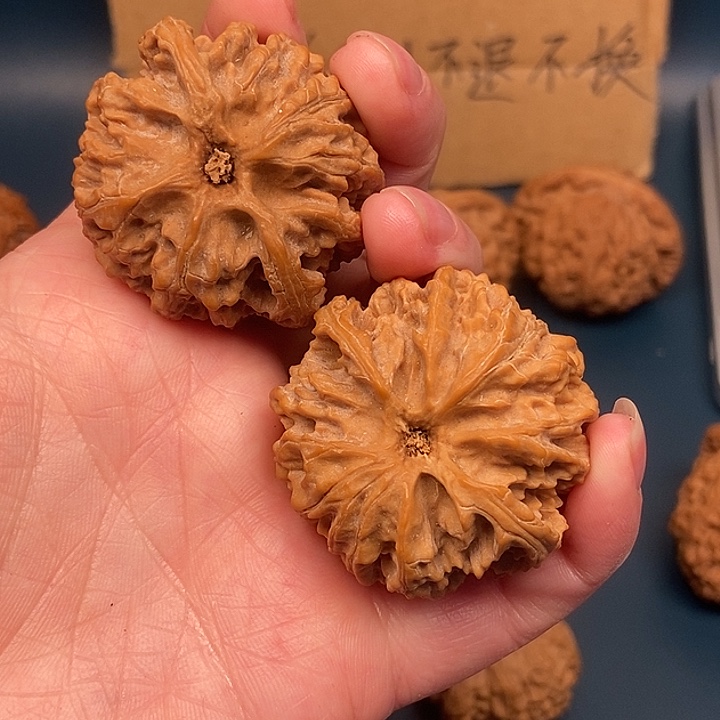 安***斯大大大大大大苹果