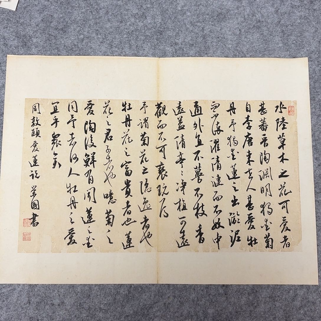 书法国展书家啊哈哈45+34