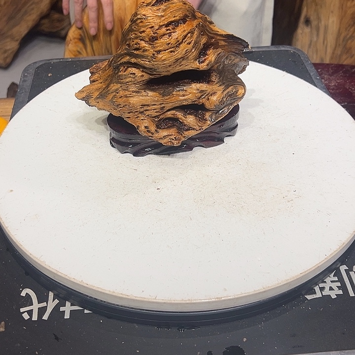 松木（琥珀木）乐*