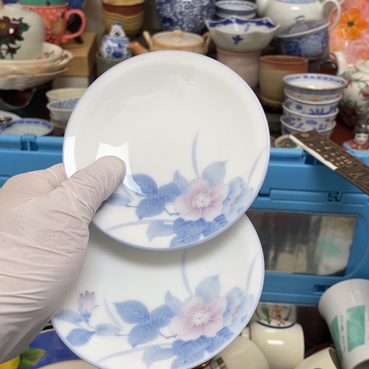 碟开播了开播了开播了