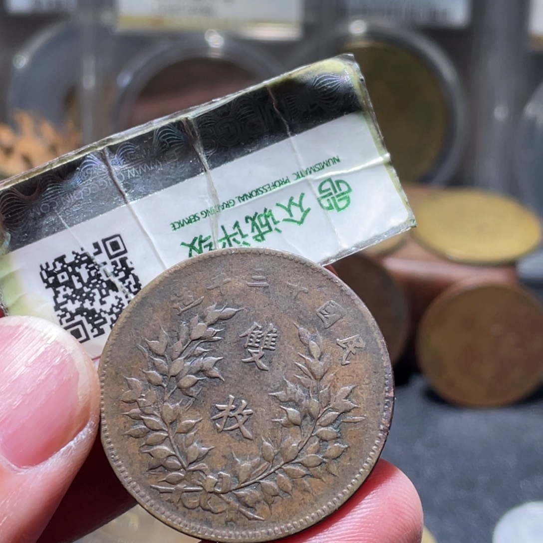 用***1铜通古博今260103范范11