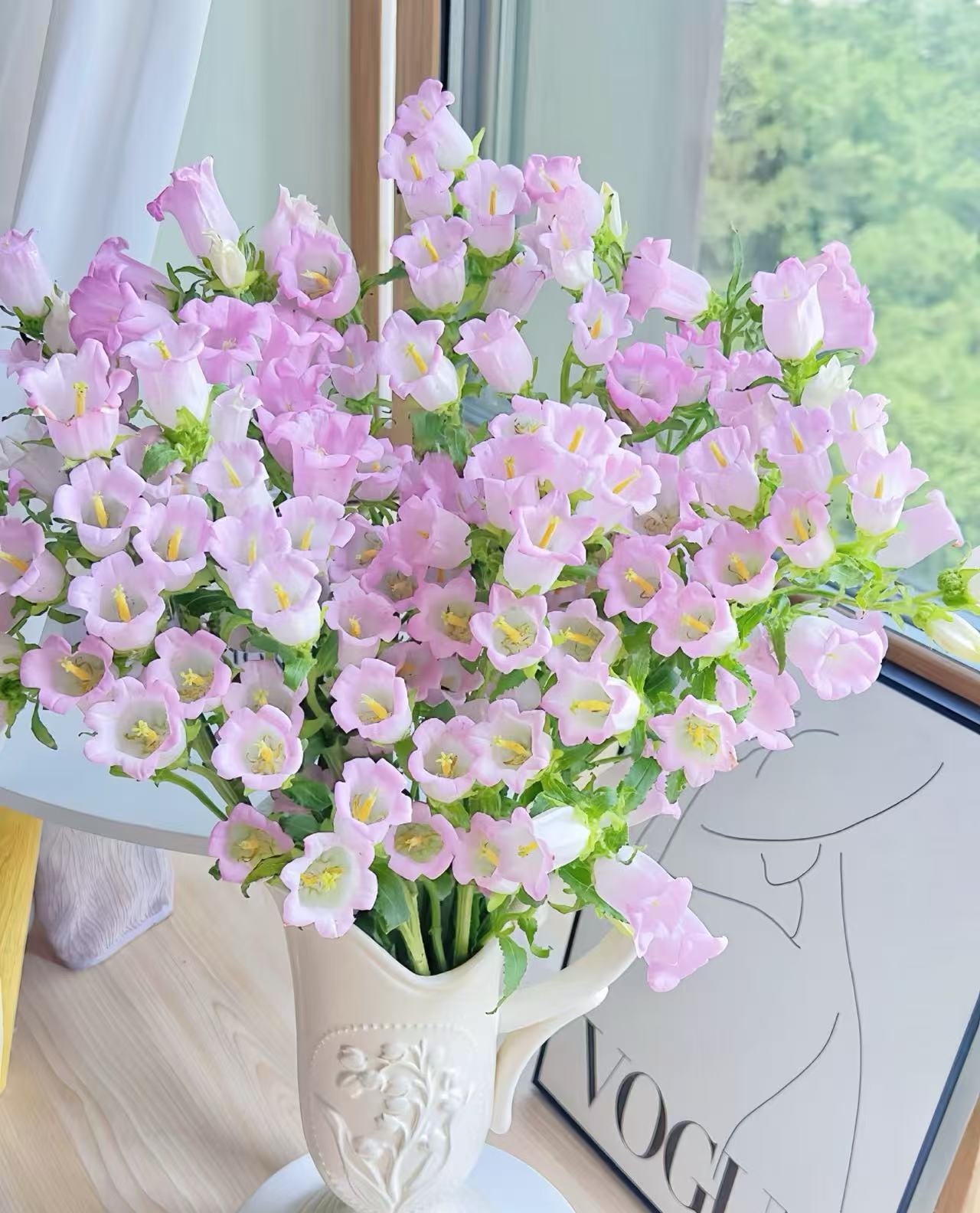 【风铃花】云南基地直发，同一地址两单送配草，三单送园艺剪刀