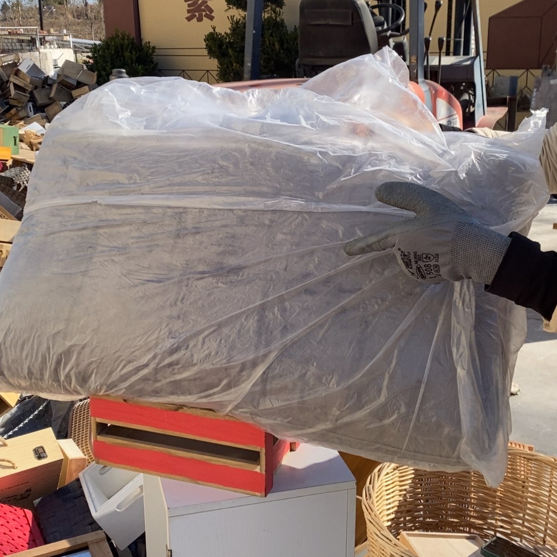 木这是编号036哈哈