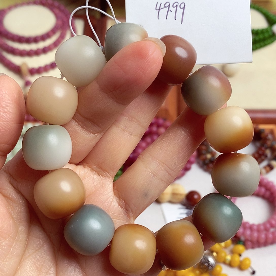 手串菩提根/象牙果