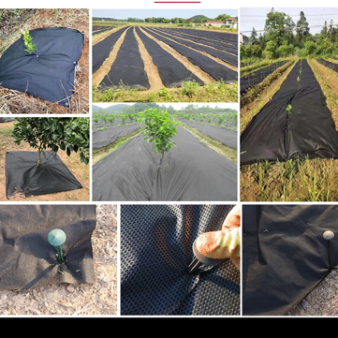 果园果树专用防草布透气透水抗老化可降解地膜样品