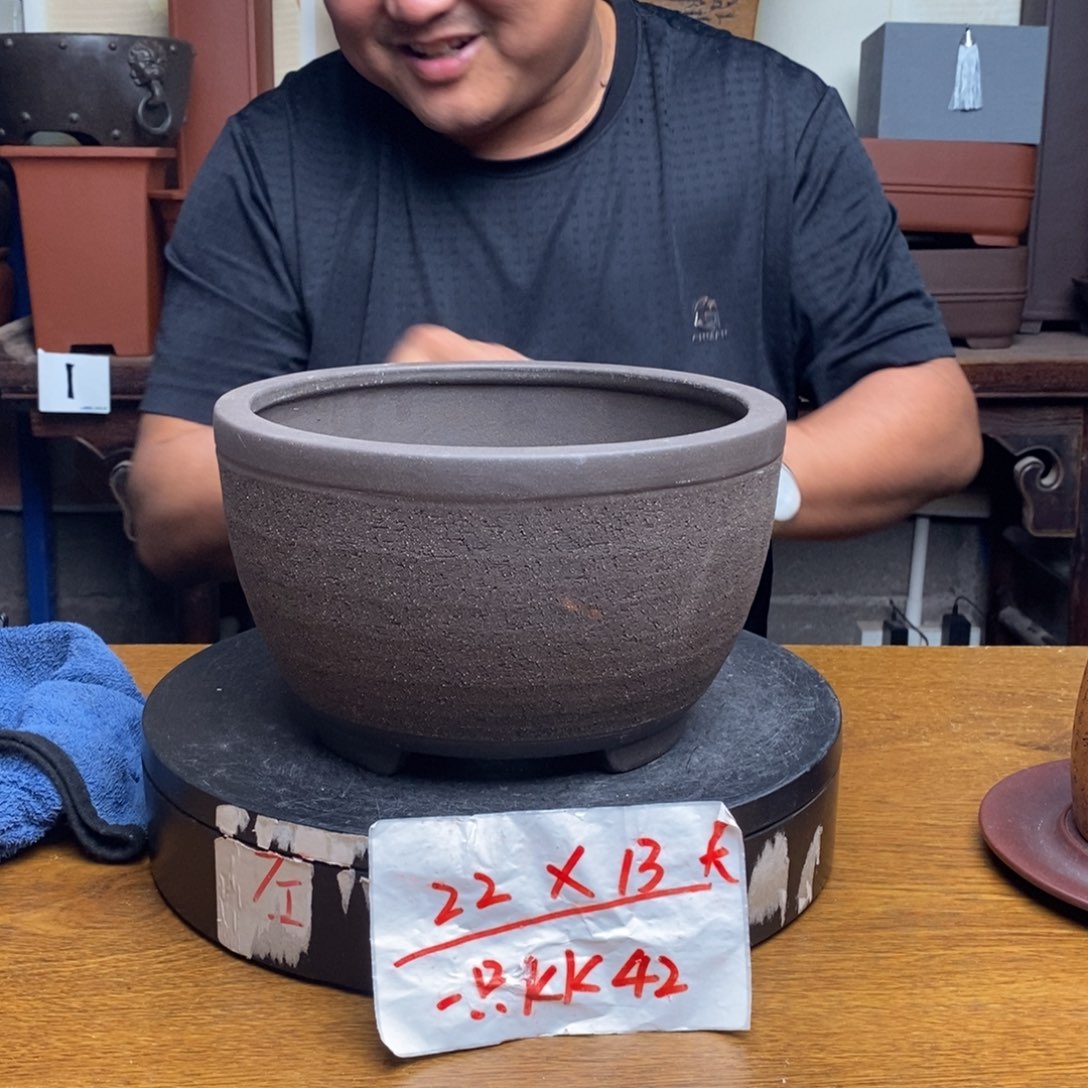 紫砂货号一只KK42