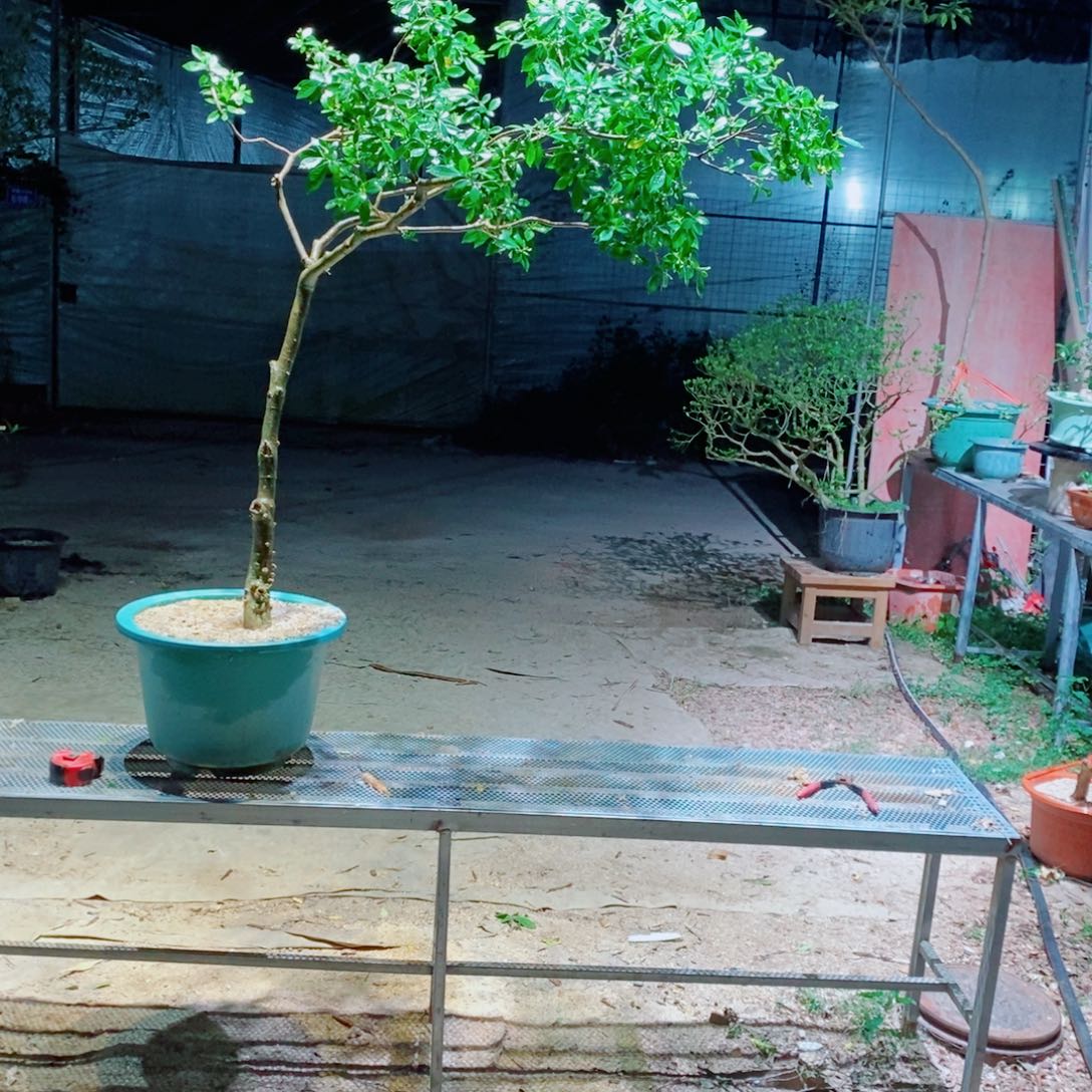 @***升感谢您的支持和配合