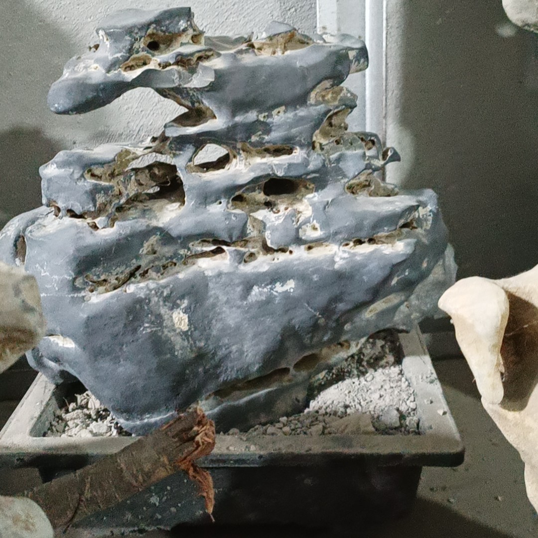 太湖石摆件广西来宾南太湖石