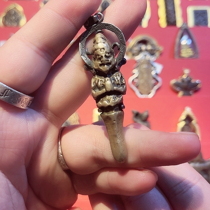 ✨****?好看的好看的好看的好看滴