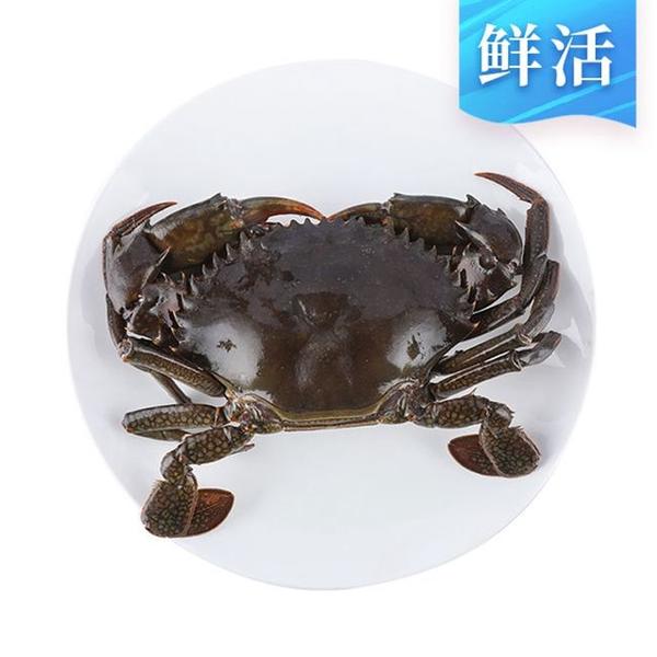 【活蟹】+缅甸青蟹+A货250g/只
