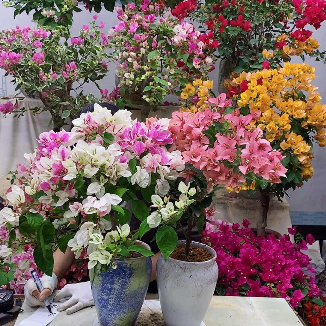 完全开放我要好好学习