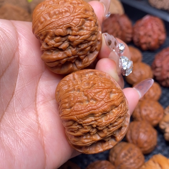 秦岭野生0000000011