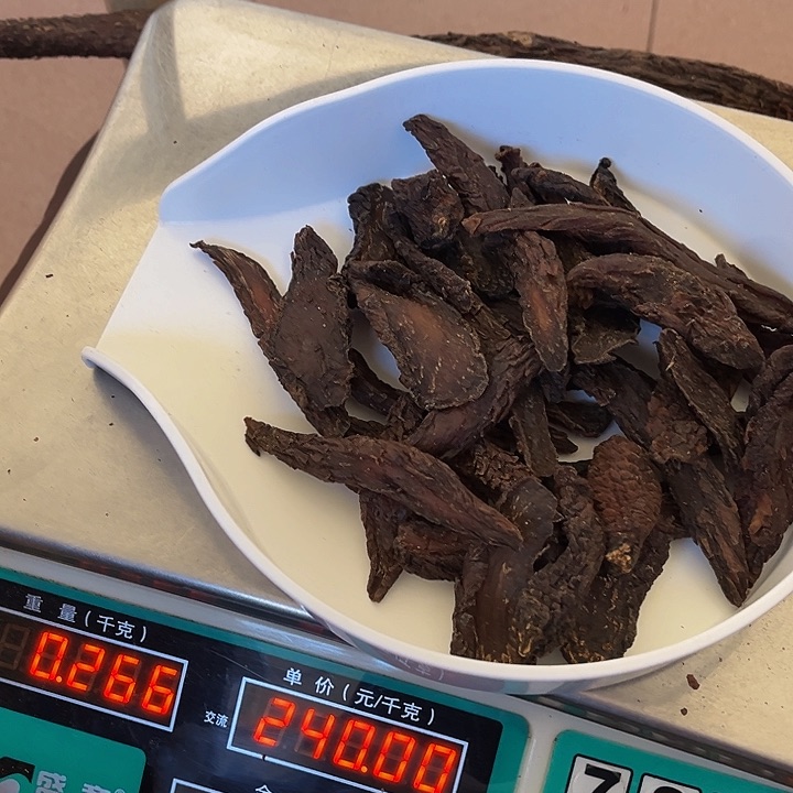 百**解阿拉善沙漠肉苁蓉