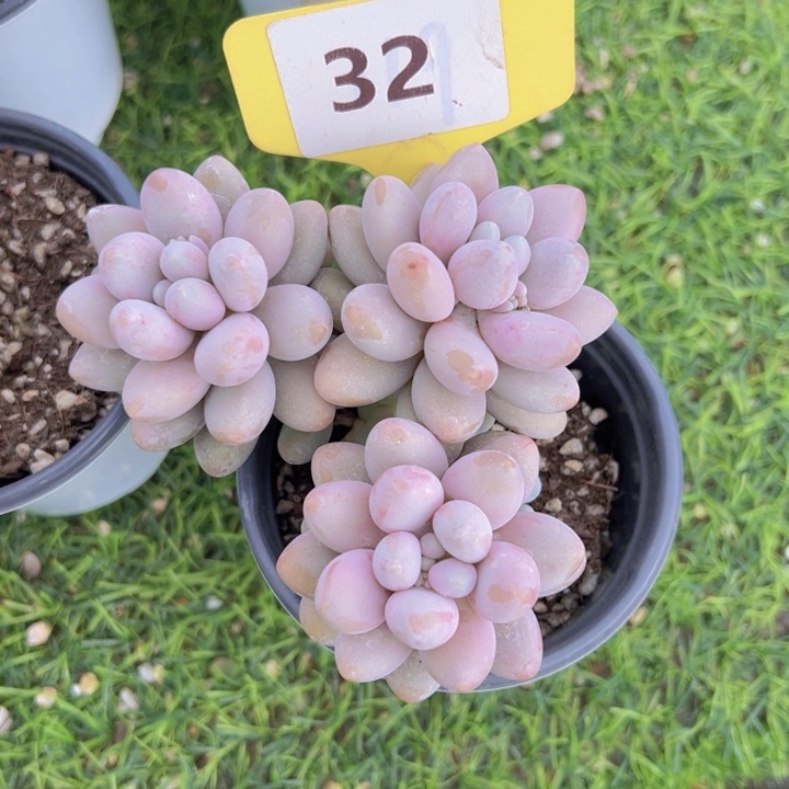 健健康康平平安安