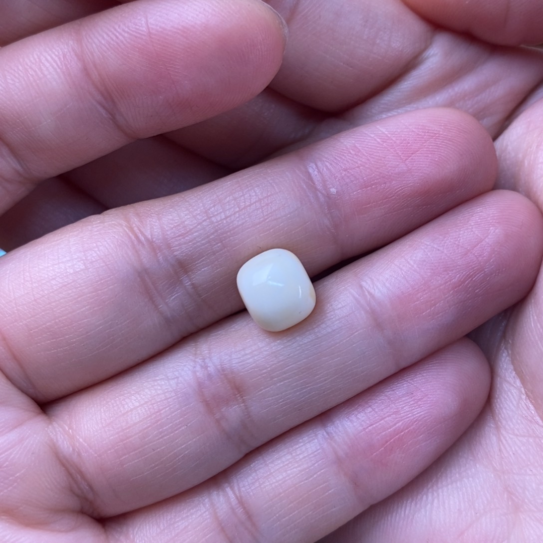 裸石琥珀未镶嵌分*蜜蜡