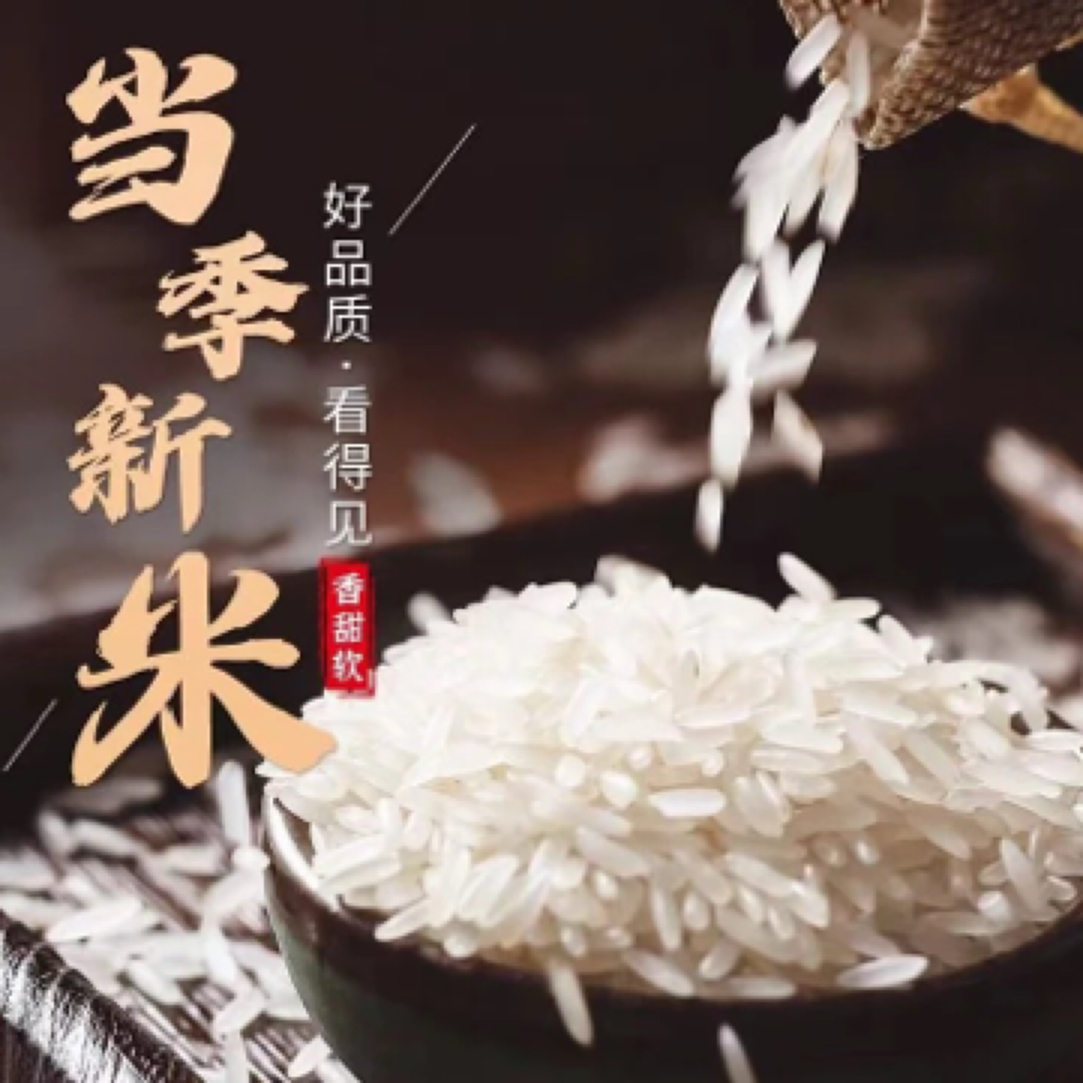 东北大米长粒香中科发五