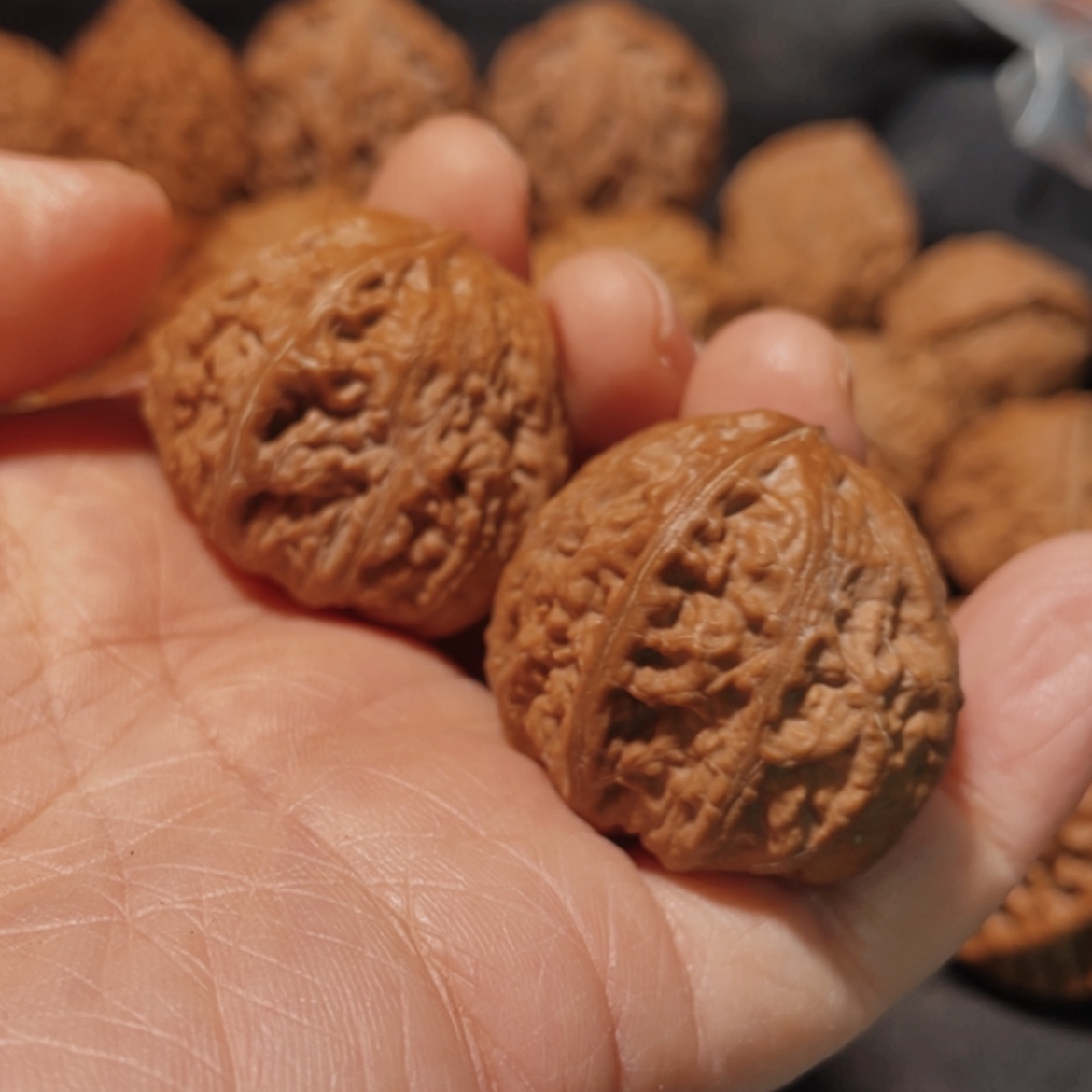 【闪购商品】把件文玩核桃小****炝东北楸子12