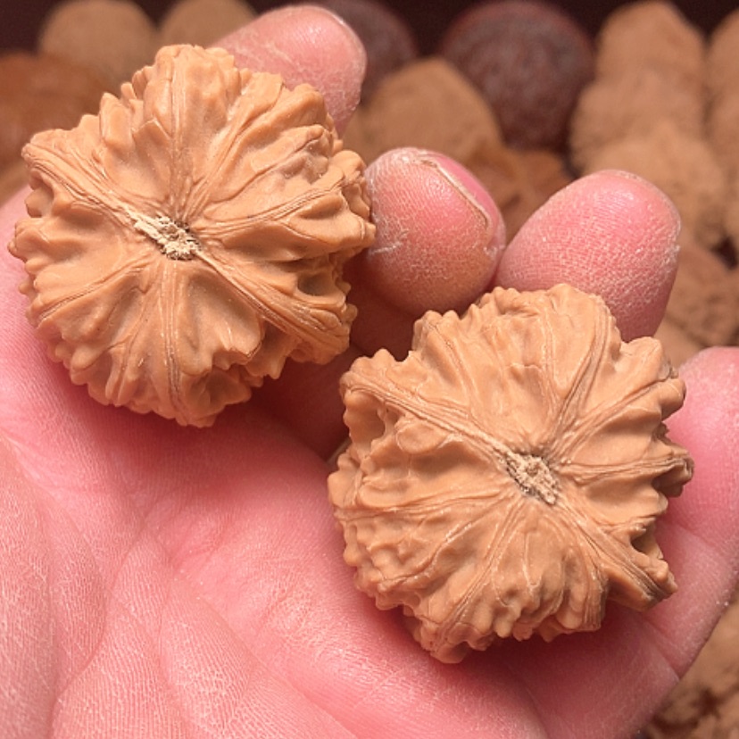 【闪购商品】研***丶野生玉