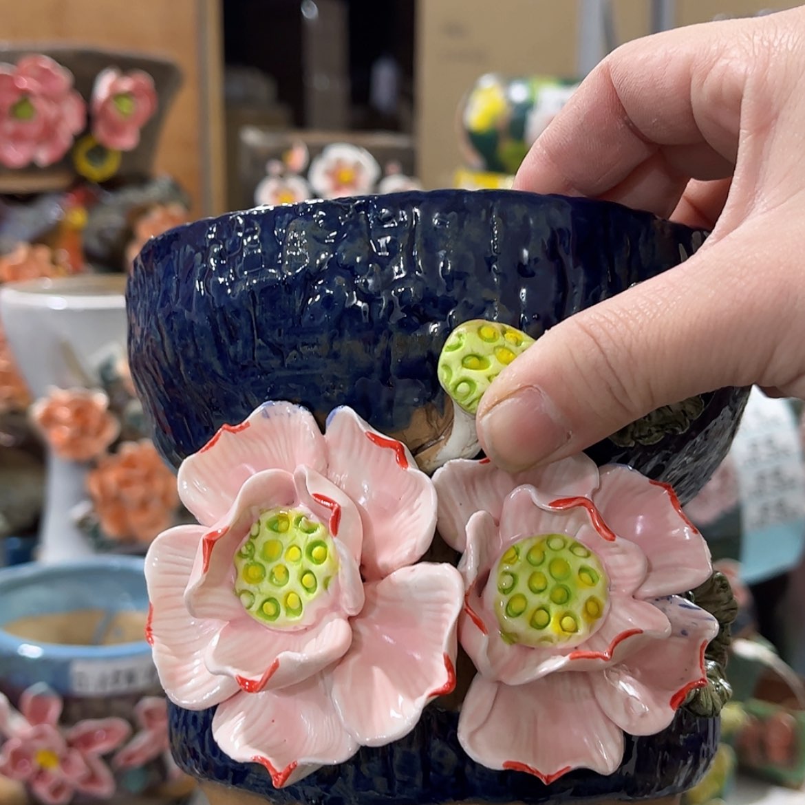 【闪购商品】红陶福利