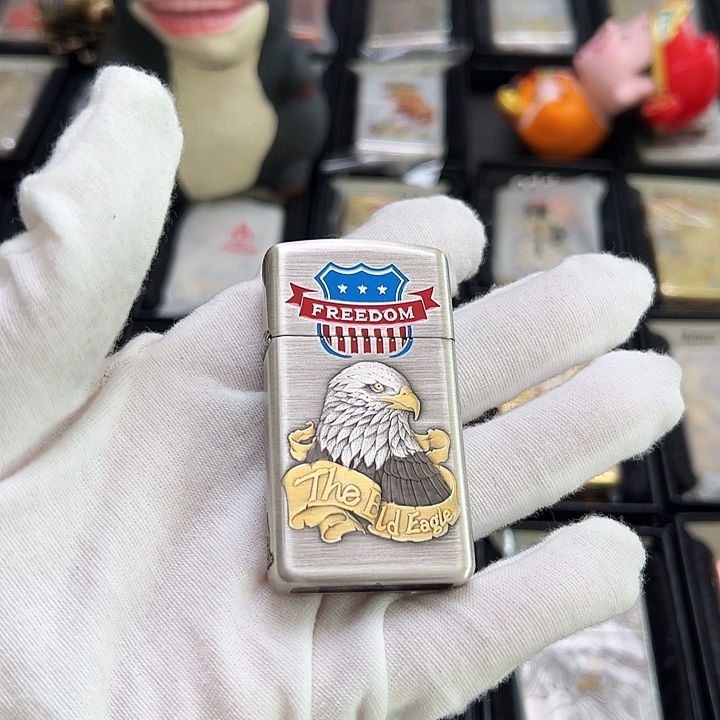 镜面66号公路白头鹰