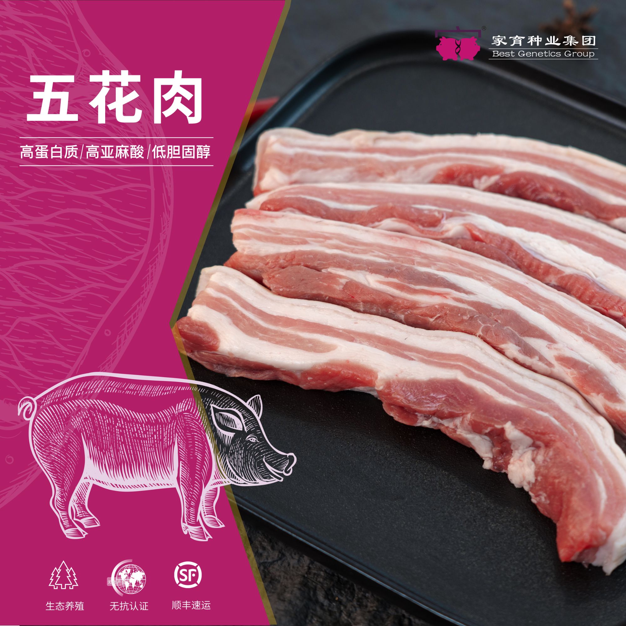家育小黑豚土猪肉五花肉包邮350g*4