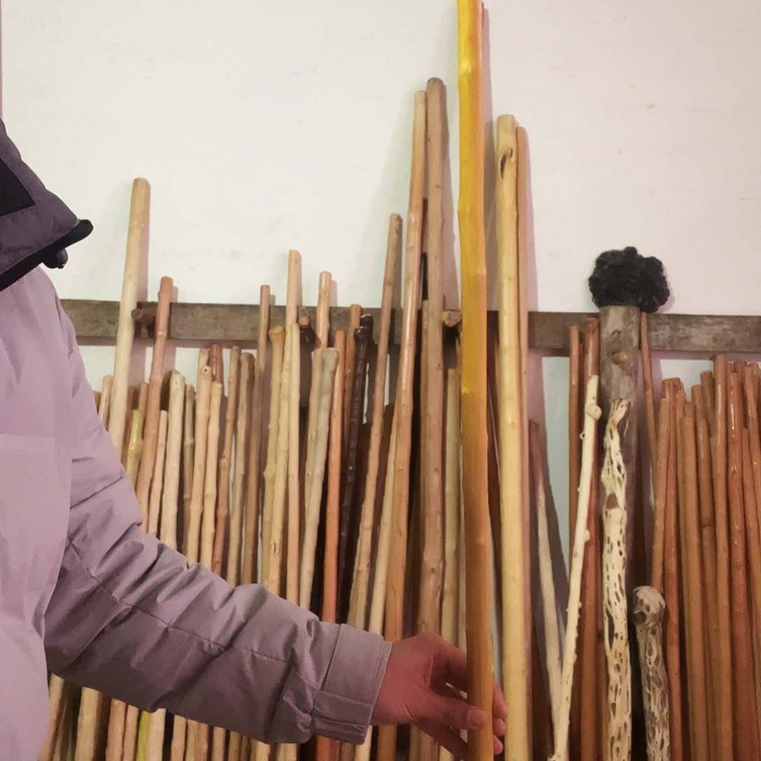 玉***神秦岭山脉黄龙柏。  