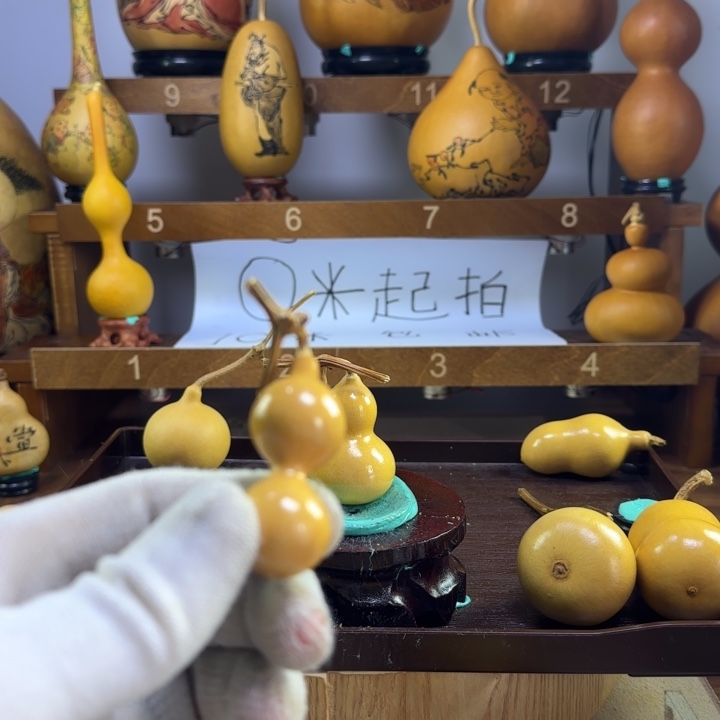 一****大叶紫檀（黑酸枝木类）