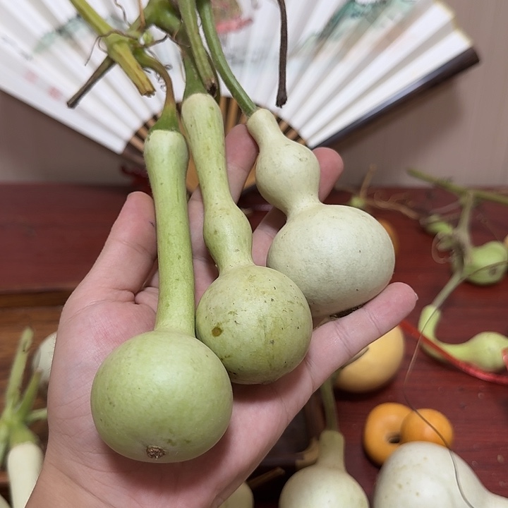 葫***）12234455667789999