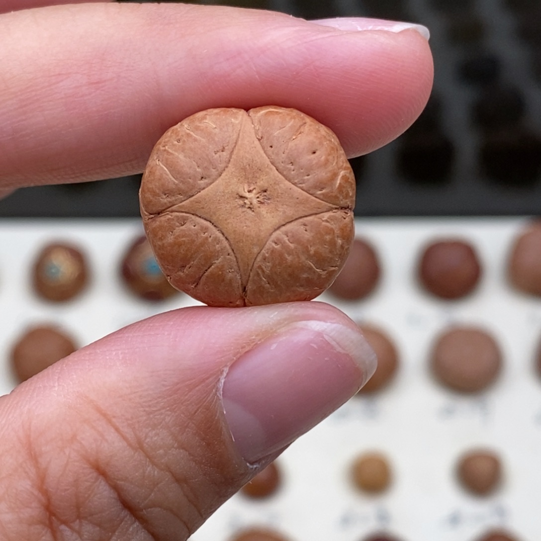 吊坠凤眼菩提麒麟