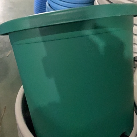 树脂四季5号祖母绿无托6个