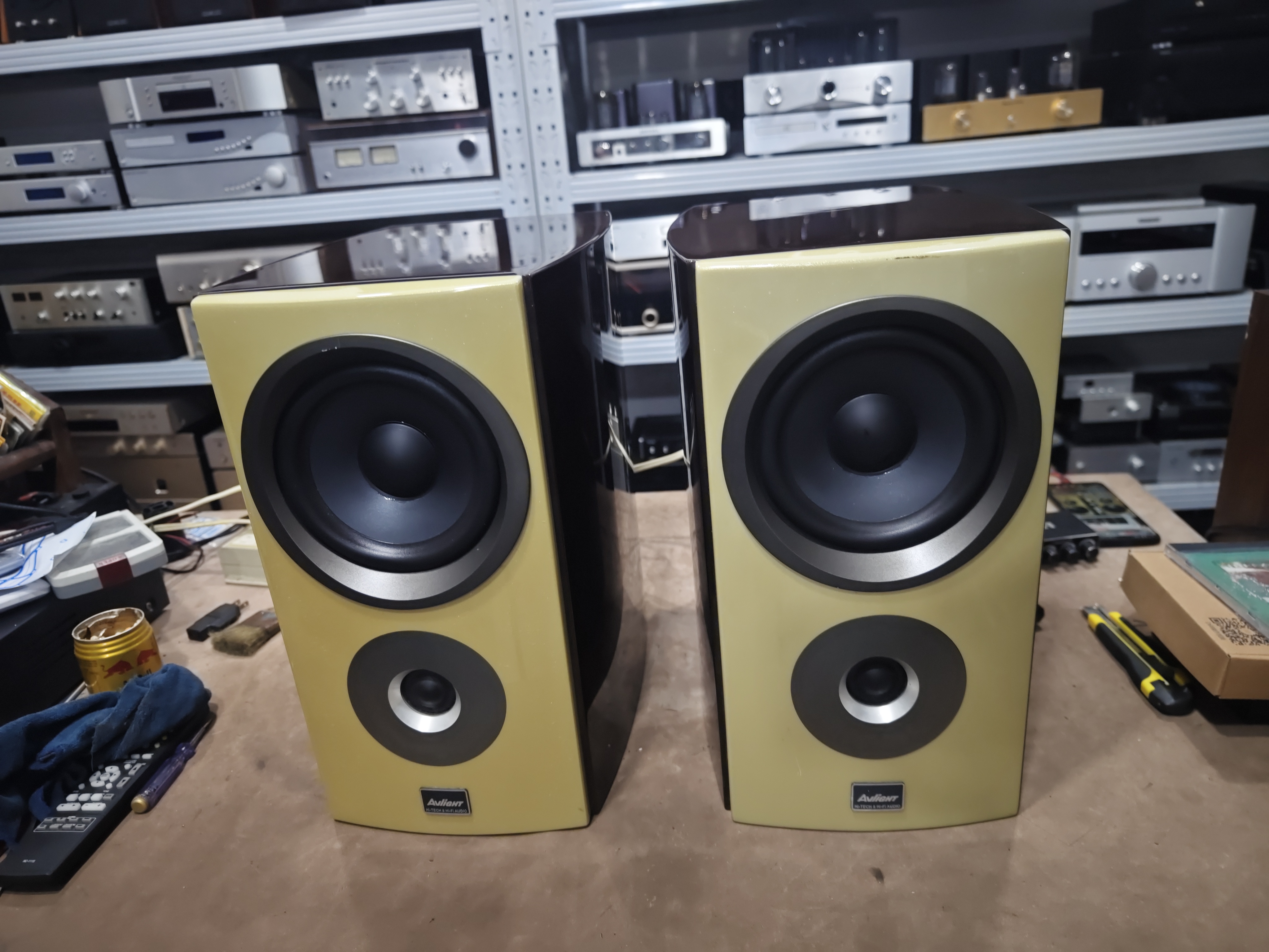 8新  爱浪书架音箱T4正常，不包邮不退换货