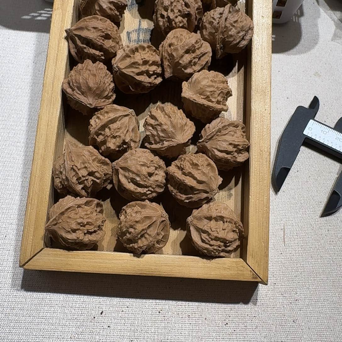 核桃手串/手链11号边26手持