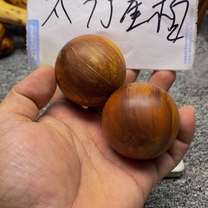 柏木（崖柏）崖柏15