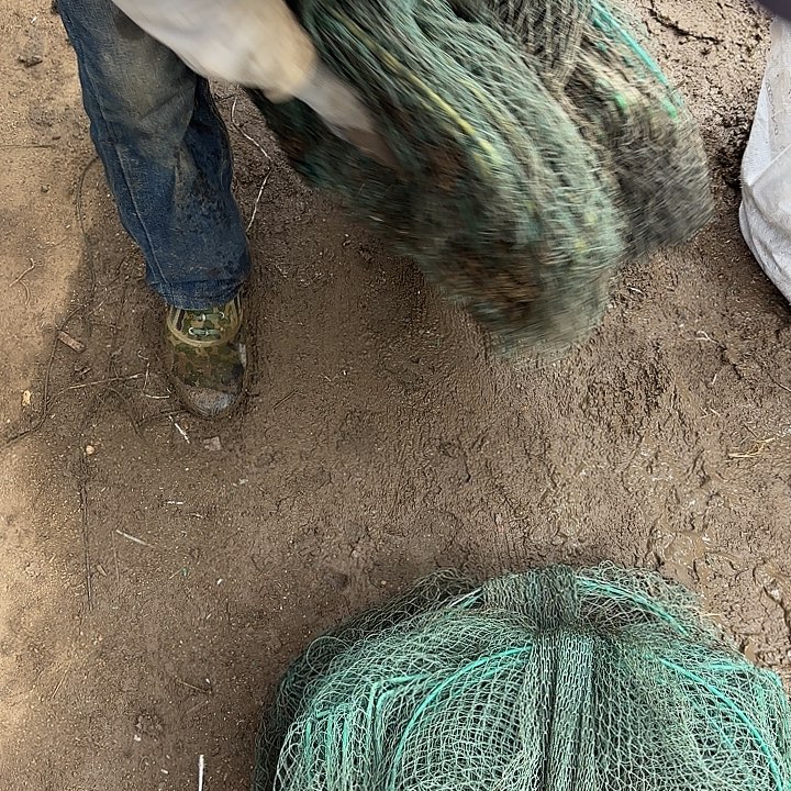 @***@螃蟹笼12928599559