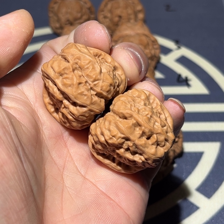 文玩核桃把件36边42肚