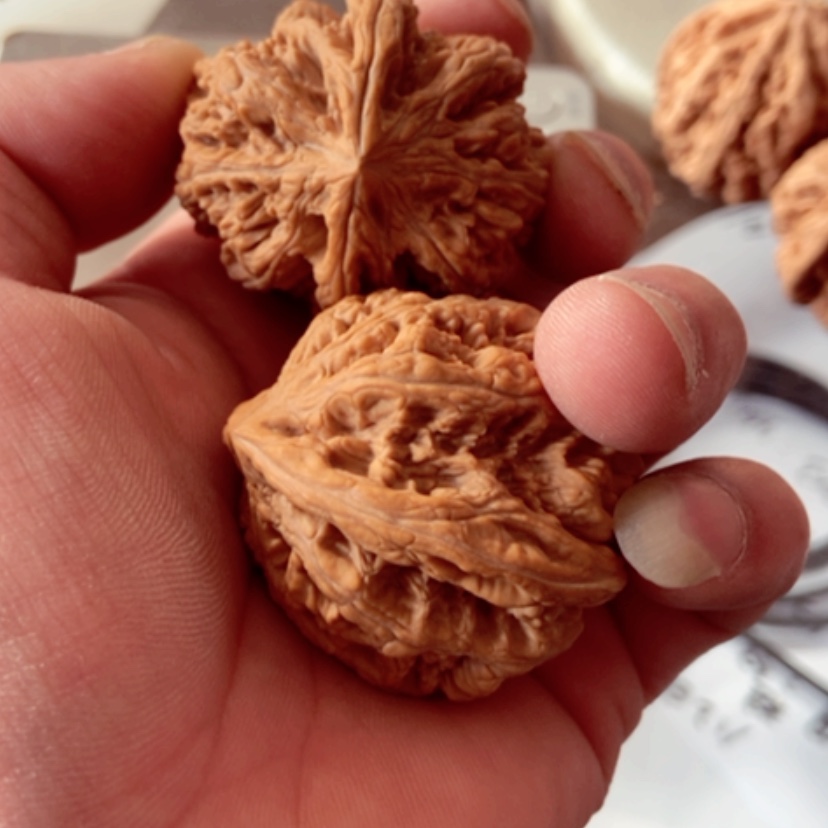 【闪购商品】李**想42全品无修大粗筋