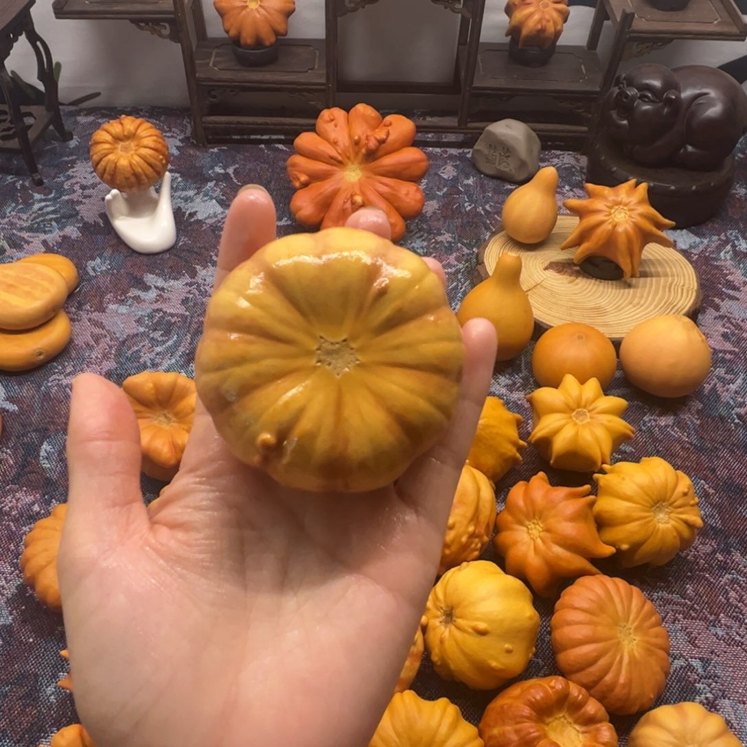 墨西哥葫芦扁南瓜