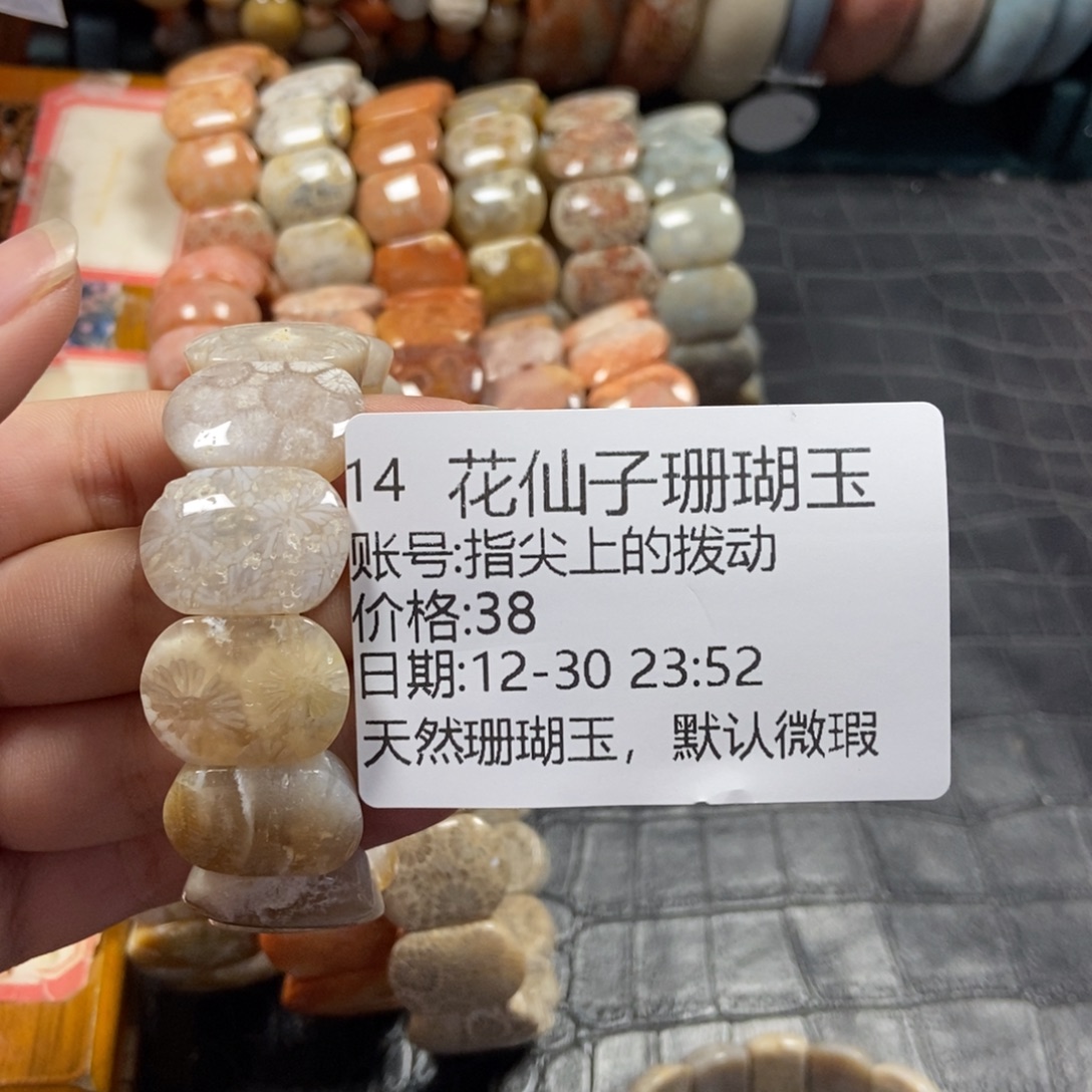 指***动硅化珊瑚（珊瑚玉）未镶嵌珠宝半成品14