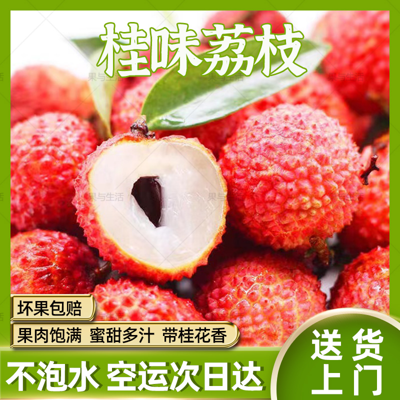【顺丰次日达】广东增城桂味荔枝现摘鲜果新鲜不泡水应季水果整箱1/3/5/10斤包邮