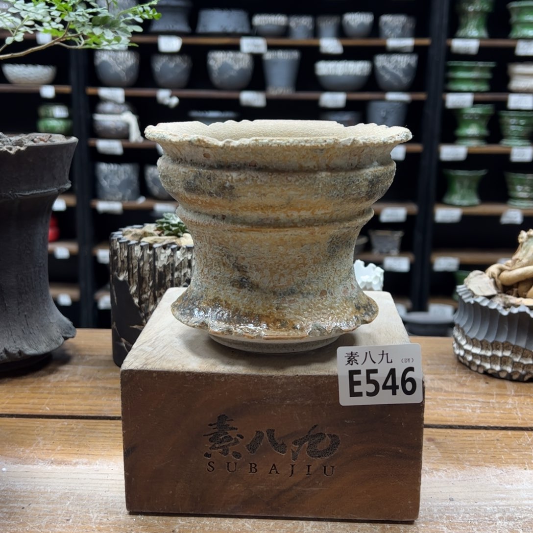 素八九陶瓷内口13.5高11.5