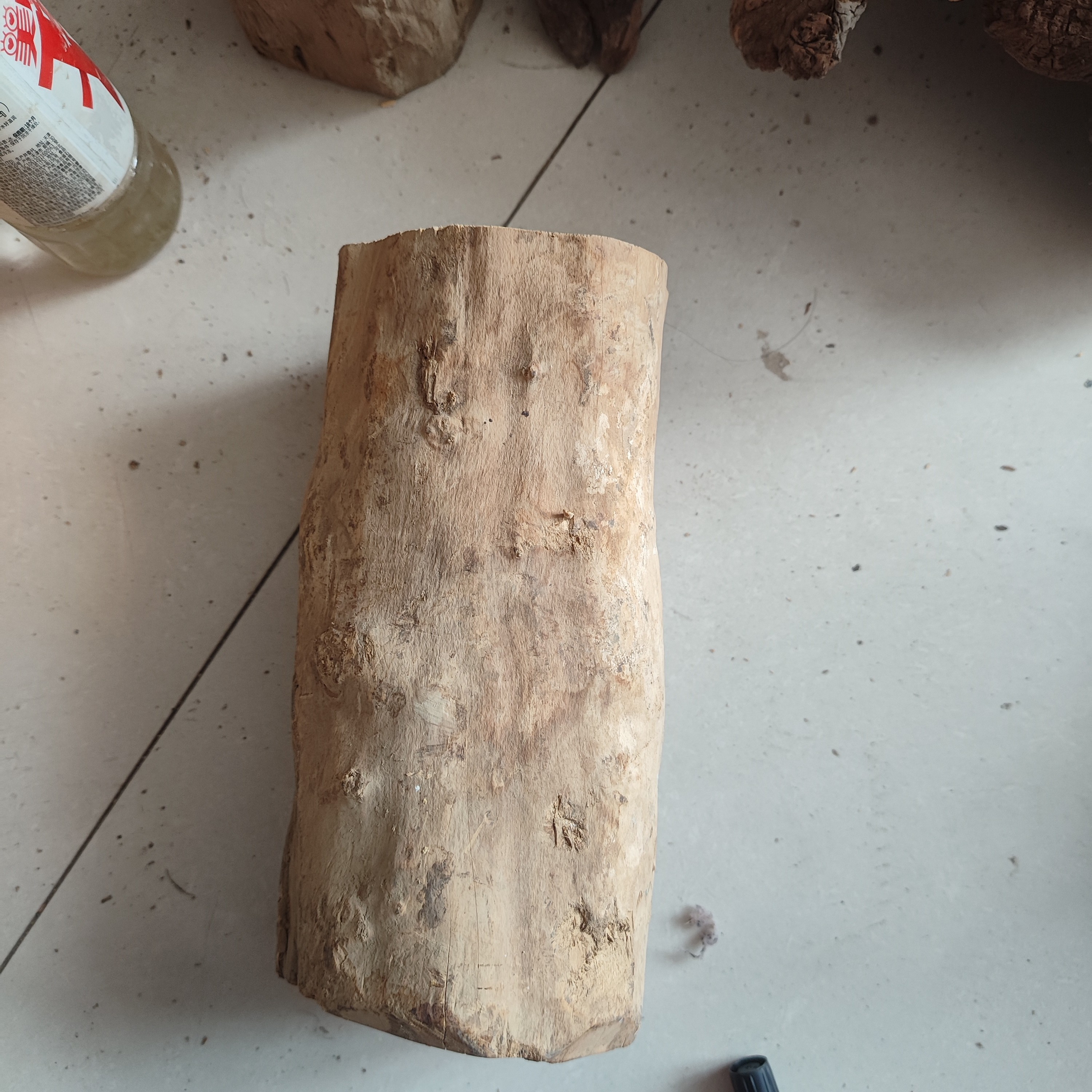 湖北珍珠黄杨木十年老料