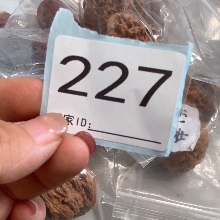 文玩核桃把件核桃