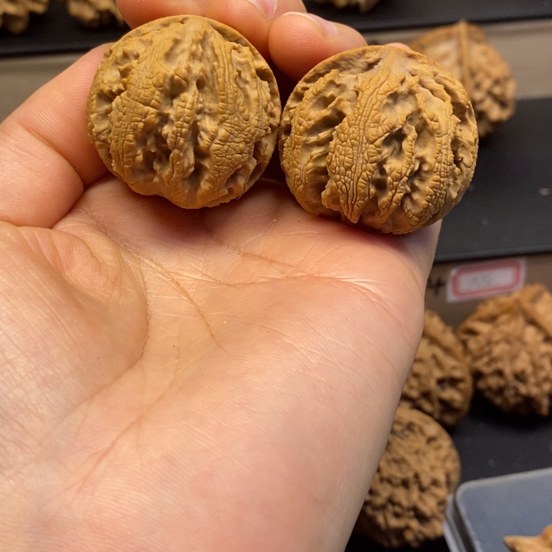 桃核吊坠秦岭绣球34