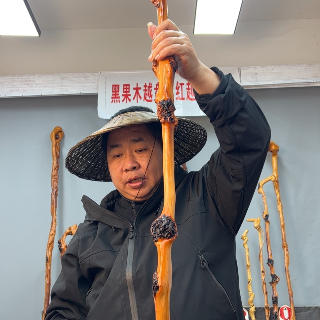 黑果木其他老*年黑果木007