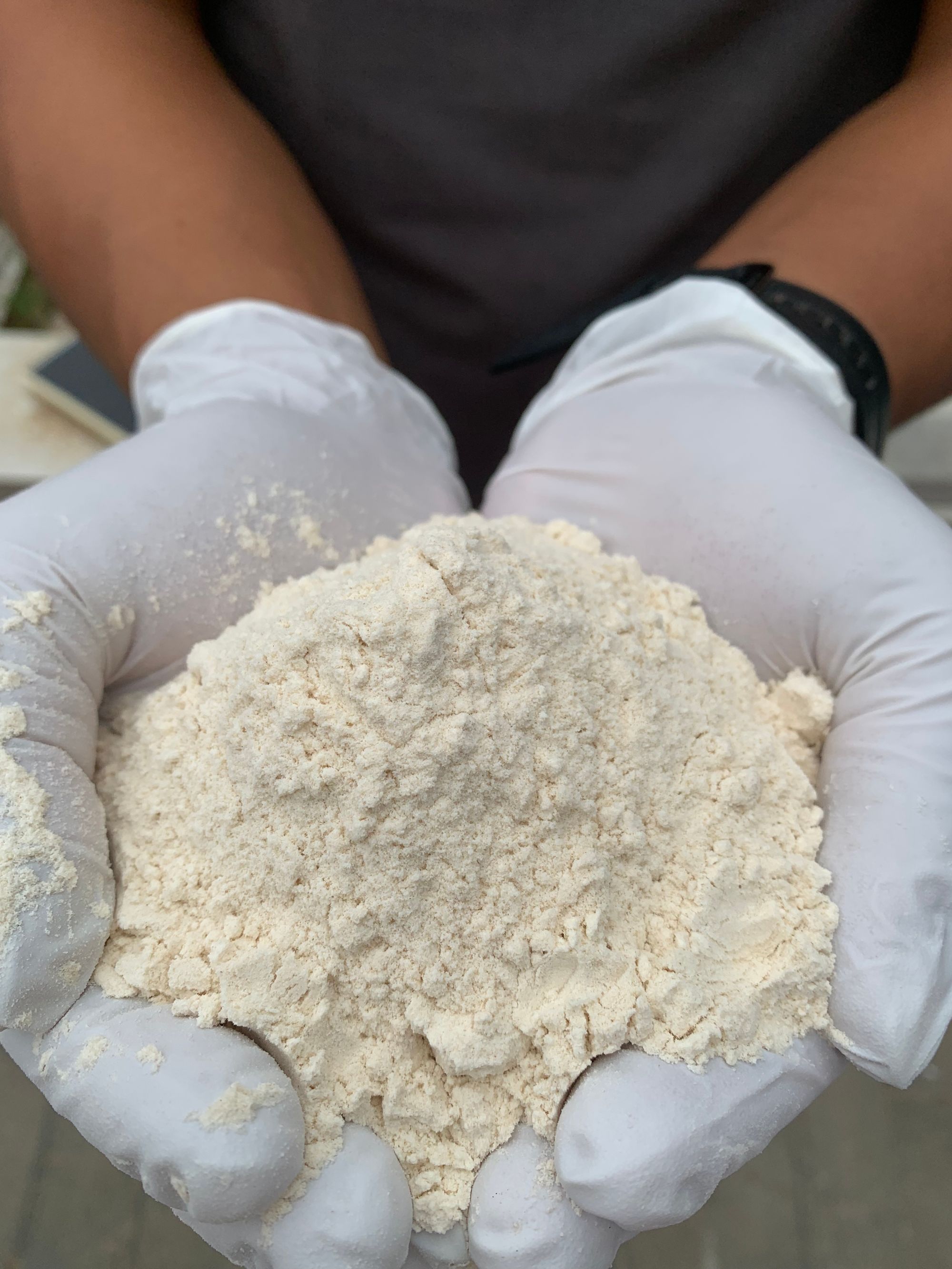 全麦面粉农家现磨0添加含麸皮