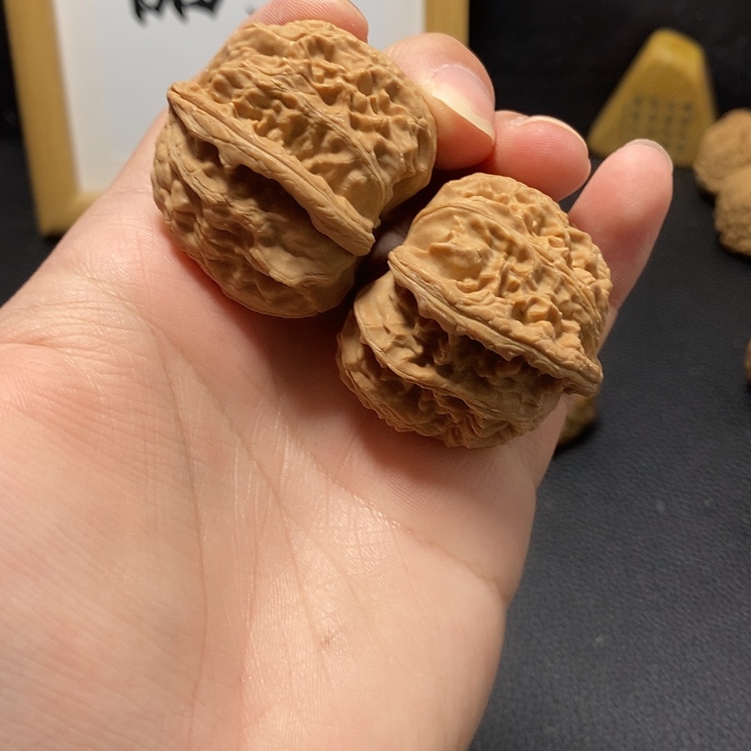 文玩核桃把件白狮子