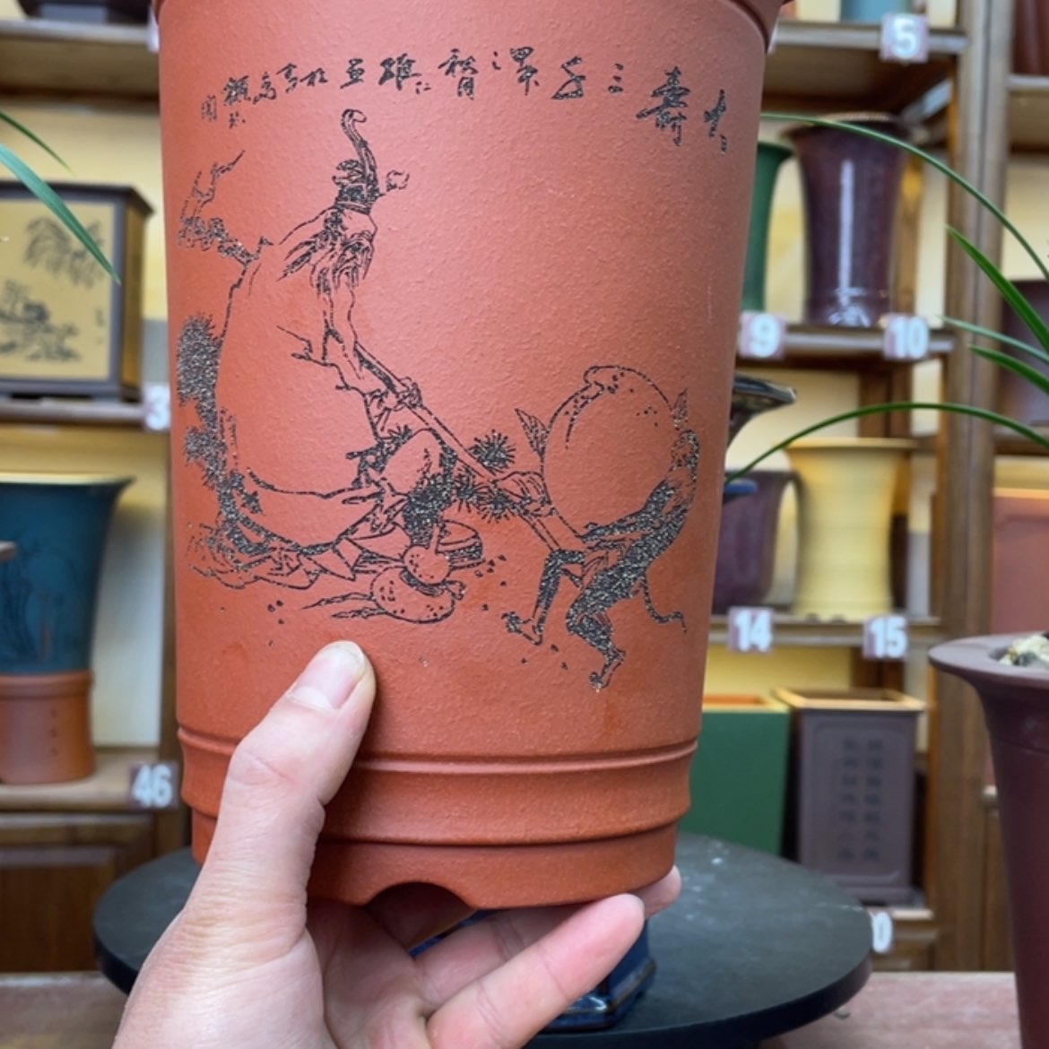【闪购商品】紫砂花盆江****4兰花455588856988636555