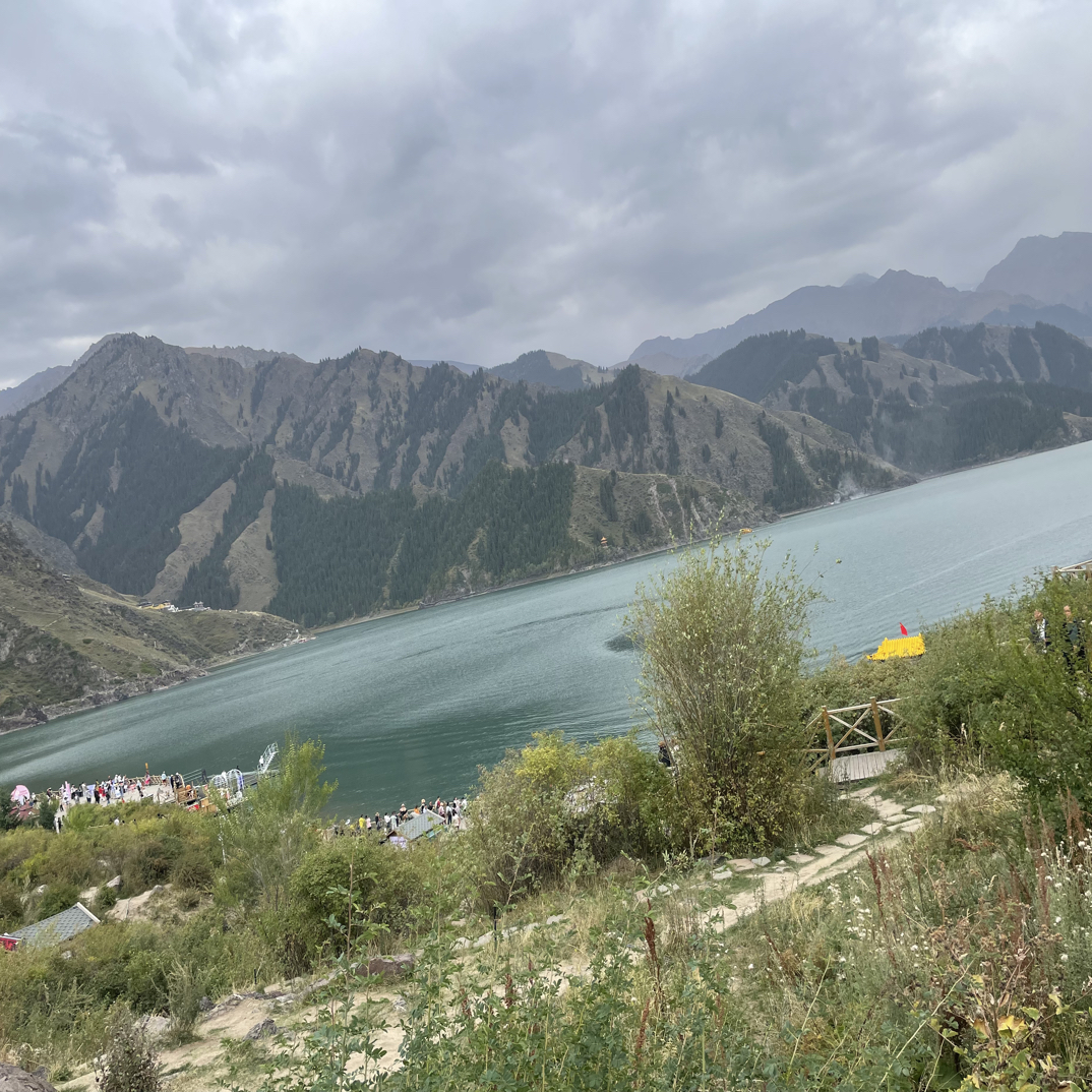 土特产临时链接非中药