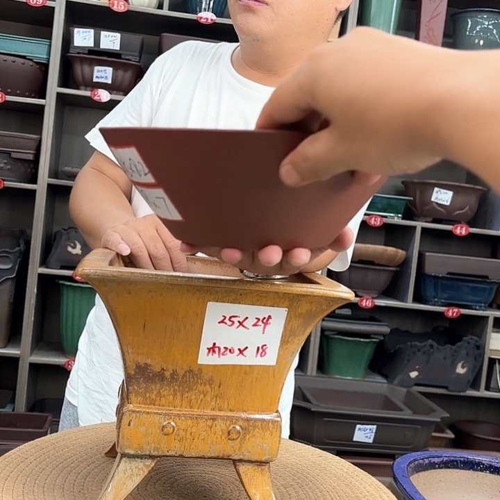 紫砂花盆开*紫砂的味道很浓很